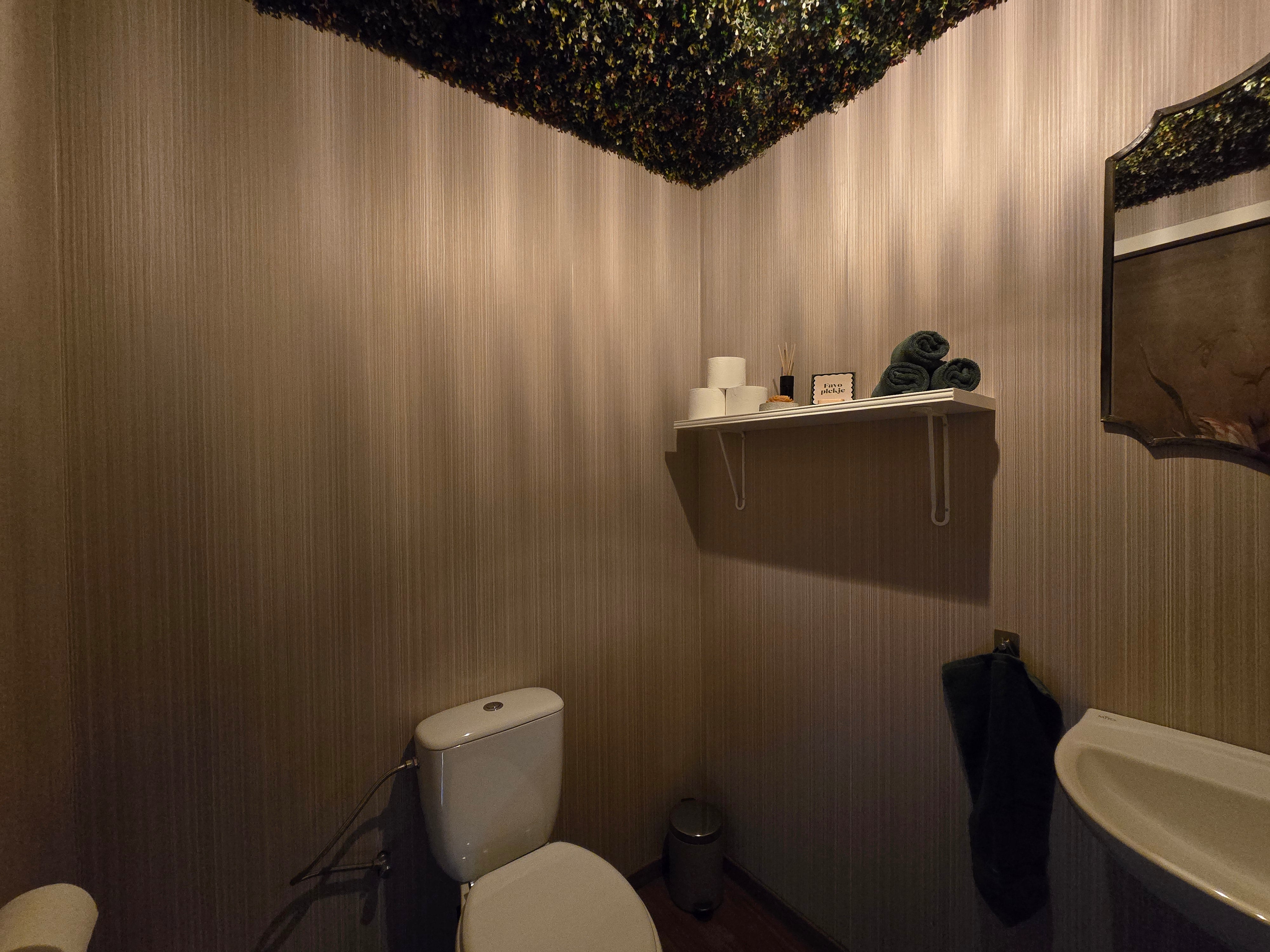 Hoe richt je een toilet in? Tips voor een sfeervol en gezellig toilet.