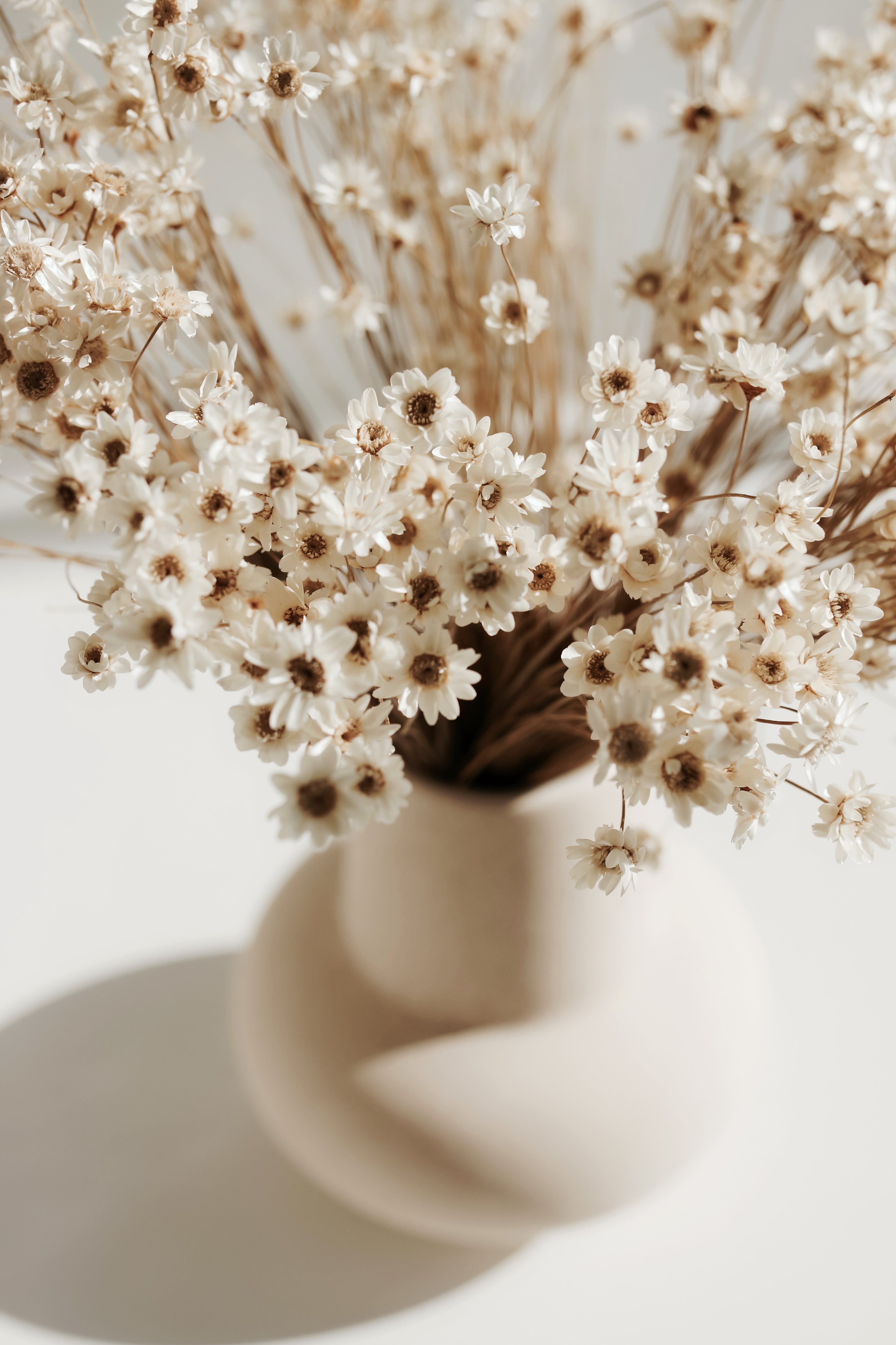 <p style="color: transparent;">Hebbedingetjes</p>