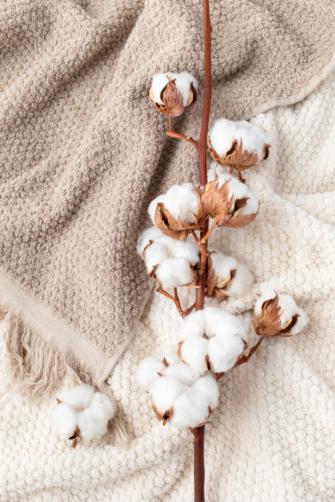 <p style="color: transparent;">Katoen</p>