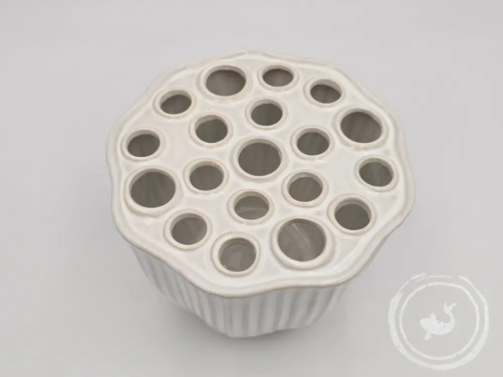 Countryfield Vaas Nelumbo wit