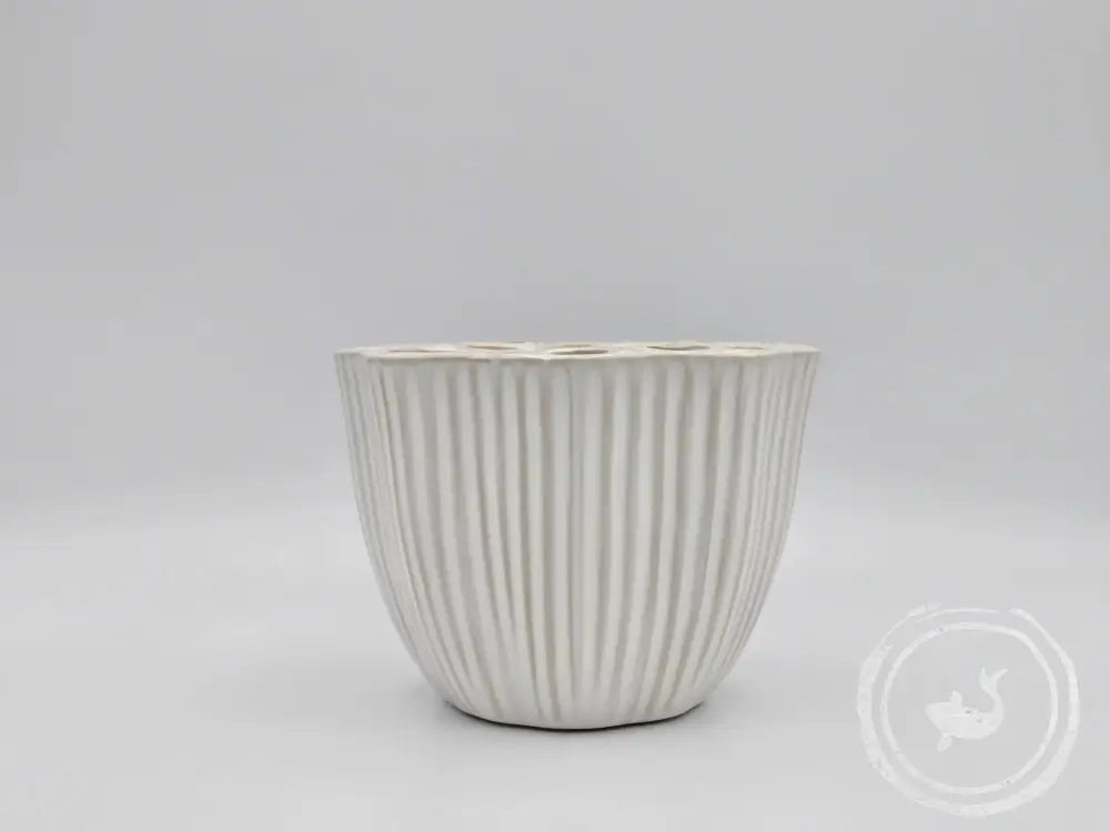 Countryfield Vaas Nelumbo wit