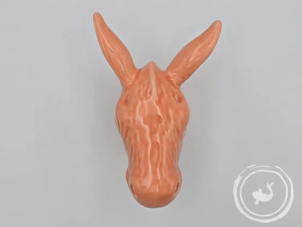Ezelhoofdje Orange