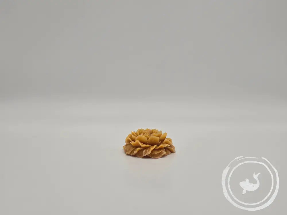 Geurroos in amber en vanille Amber