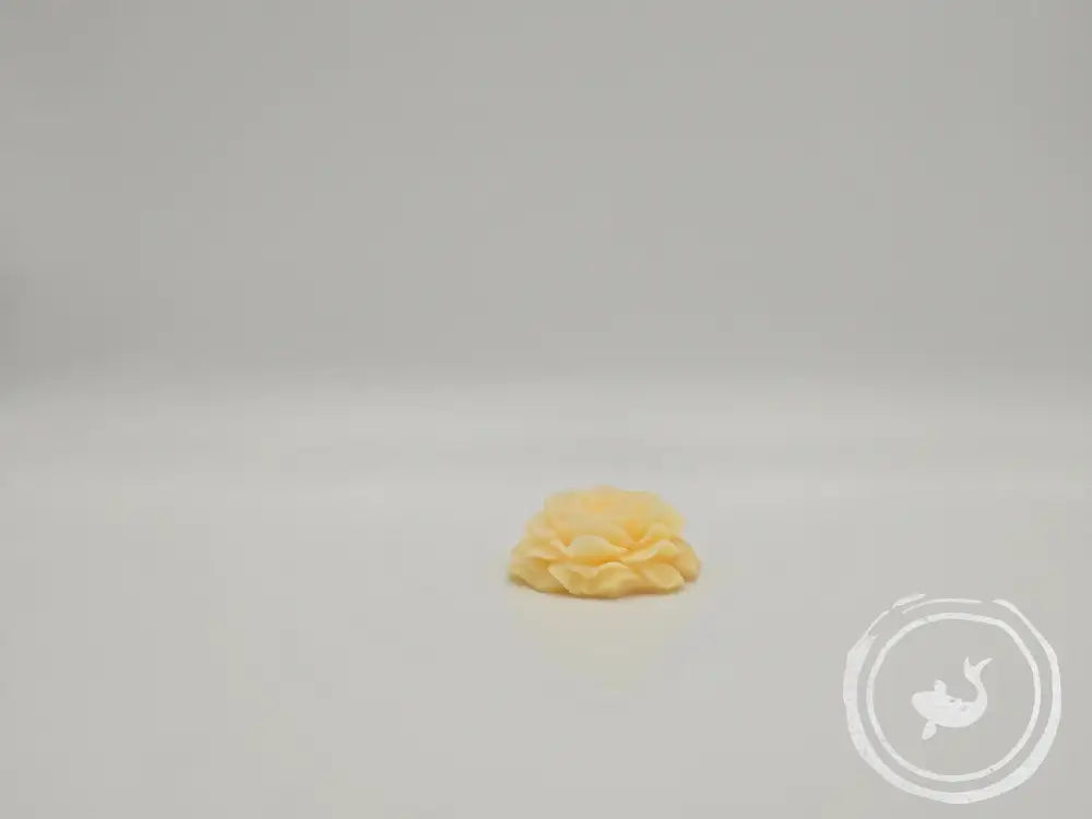 Geurroos in amber en vanille Vanilla