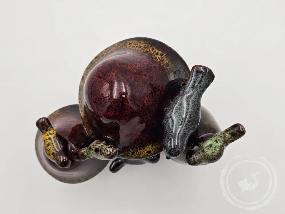 Paddenstoel Met Vogels