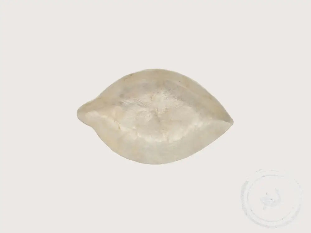 INTERIEURDINGETJES Schaaltje citroenwit – met parelmoer glans