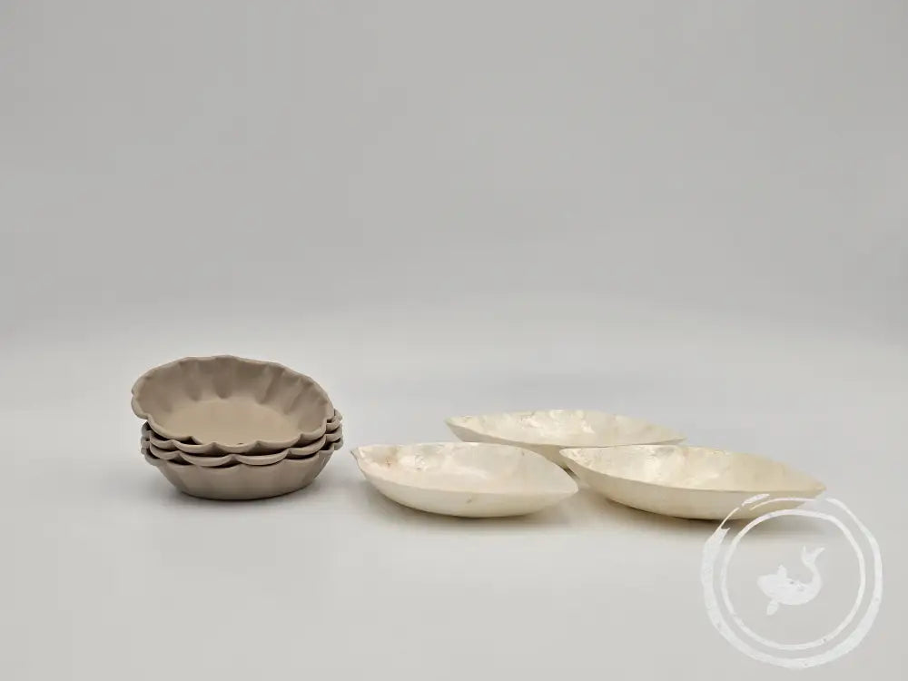 Ovaal Schelpschaaltje