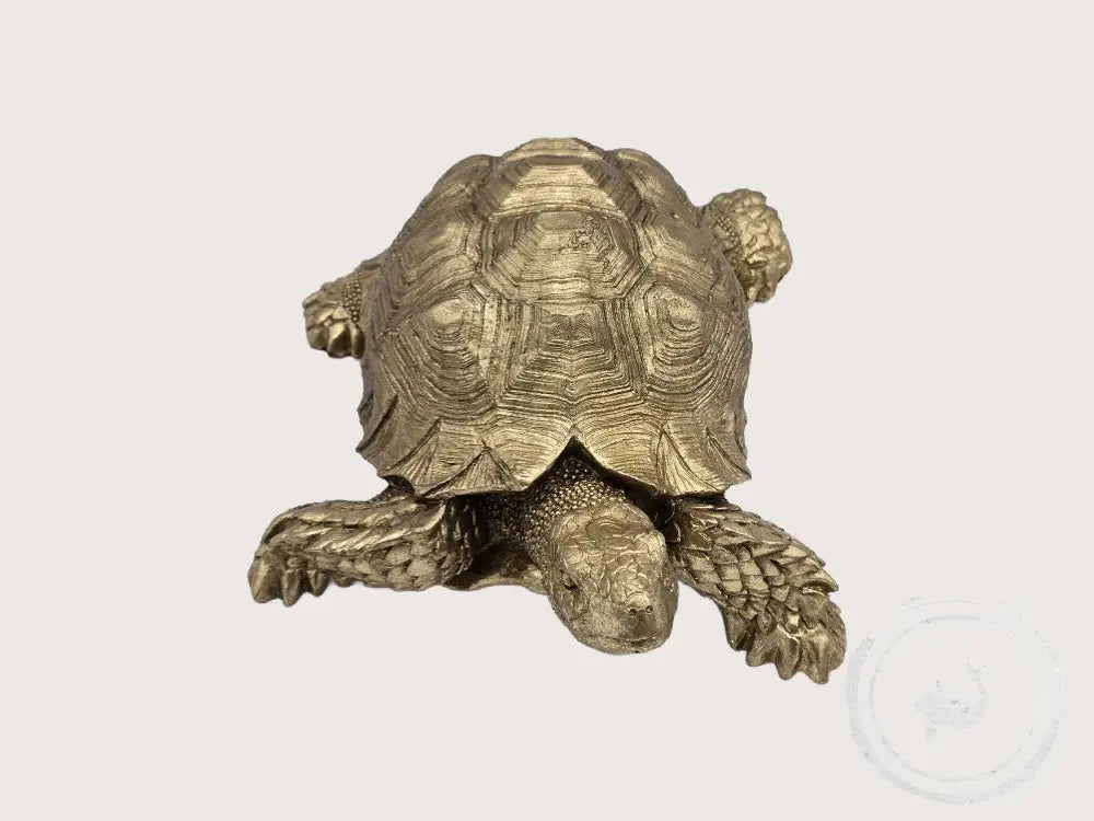 Kare Gouden Schildpad Ornament