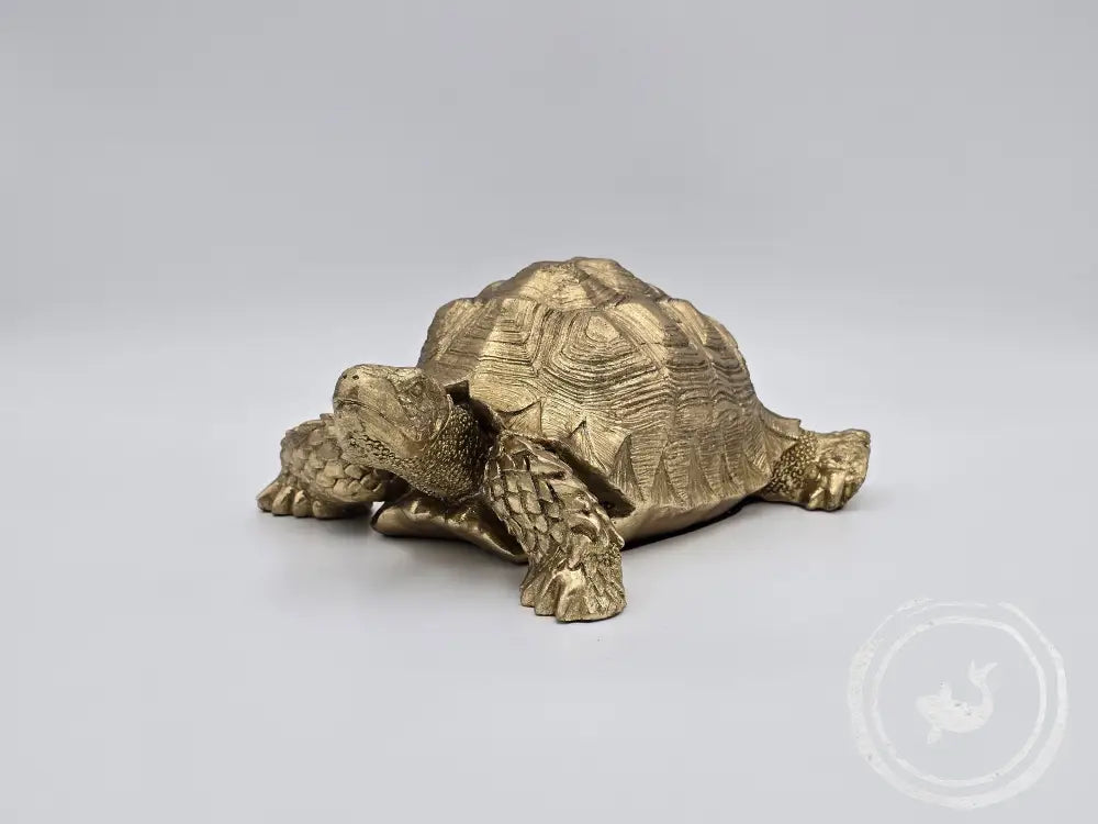 Kare Schildpad Klein