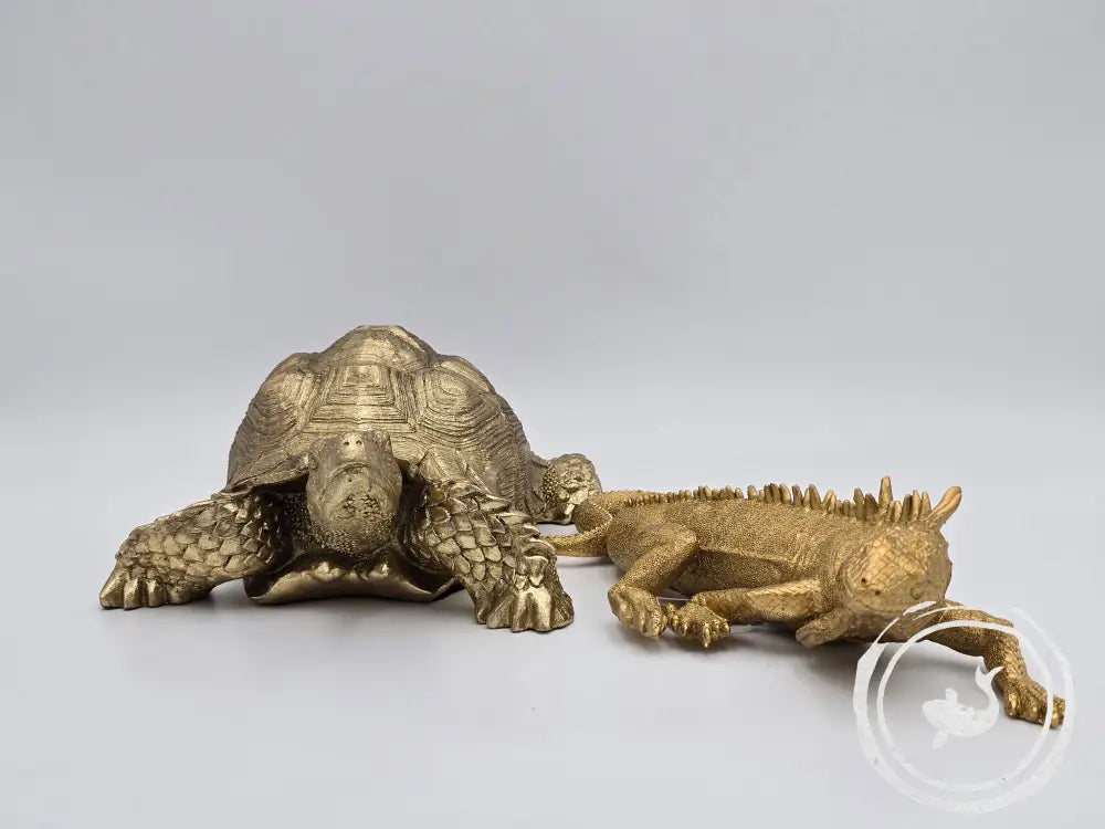 Kare Schildpad Klein