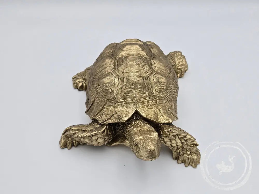 Kare Schildpad Klein