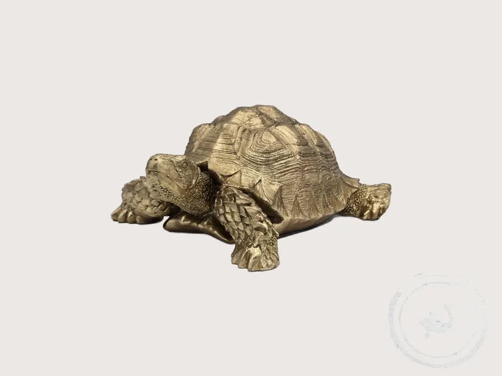 Kare Gouden Schildpad Ornament