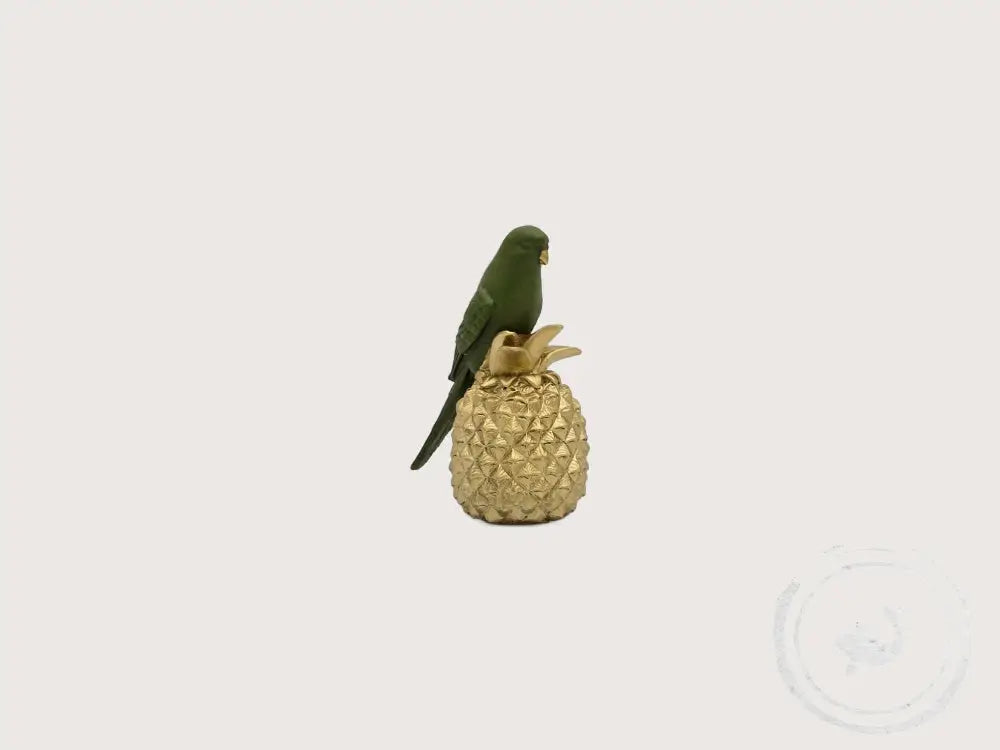 Kare Papegaai op Ananas