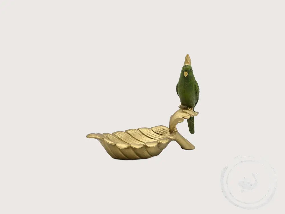 Kare Schaaltje Tropische Vogel