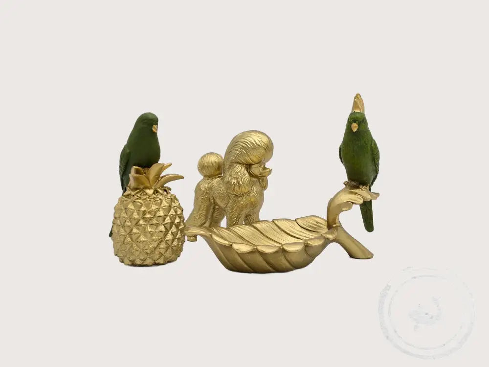 Kare Schaaltje Tropische Vogel