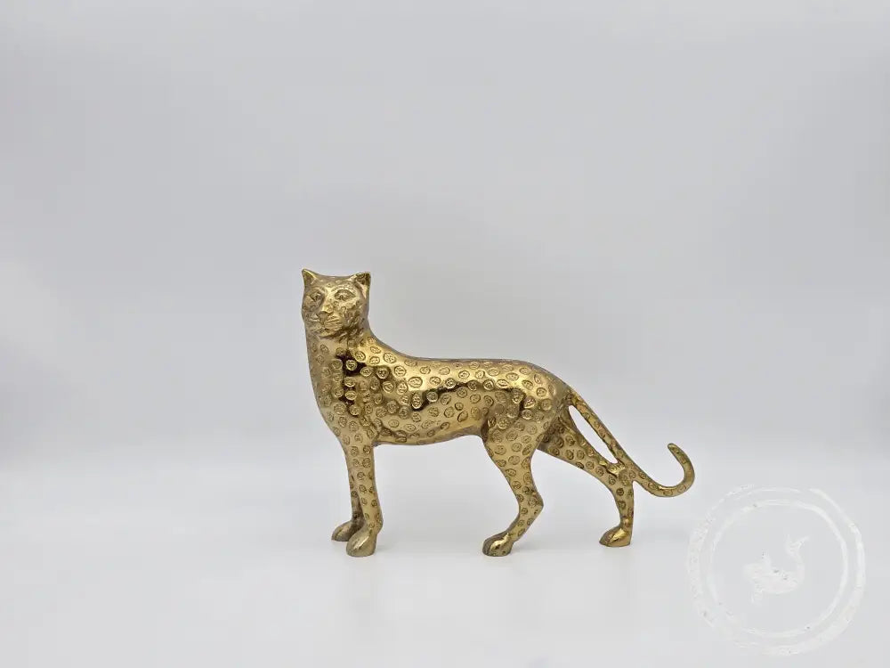 &amp;Klevering Luipaard